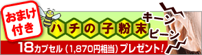 �o�C�^���r�[100
