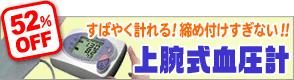 �o�C�^���r�[100