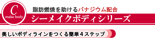 �V�[���C�N�{�f�B�V���[�Y