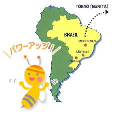 �u���W���̃~�c�o�`