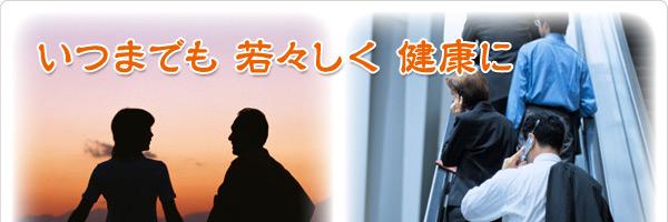 �}�J�p���[100