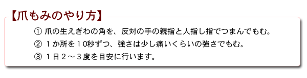 �n���{�[�C