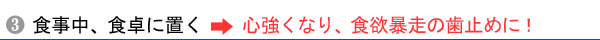 ���g�p���@