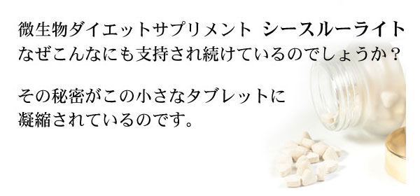 �������_�C�G�b�g�F�V�[�X���[���C�g