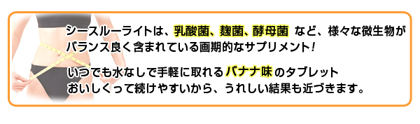 �������_�C�G�b�g�F�V�[�X���[���C�g