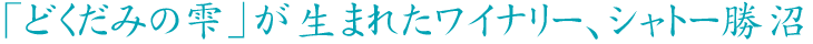 ǂ݂̎܂ꂽCi[EVg[