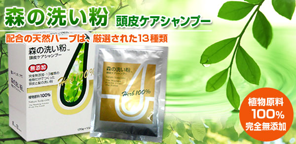 �c���D�m�O�`�̐X�̐􂢕�