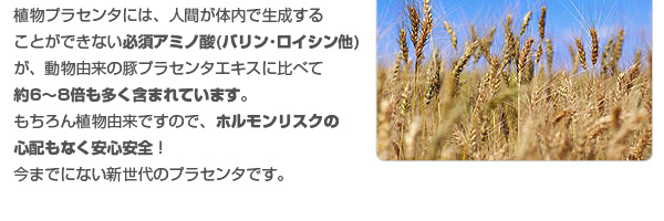 �A���v���Z���^ASKA