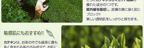 �J�e�L���N���[�� �I�[�K�j�b�N�F���̉�