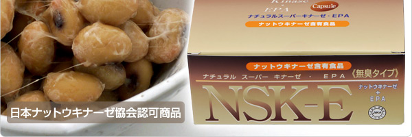 NSK-E�i�i�`�������X�[�p�[�L�i�[�[EPA�j