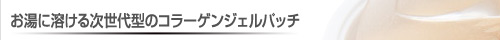 �_�C���t�H�[�X�S�[���h