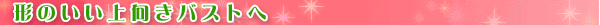 �ӂ��悩�ȃo�X�g��