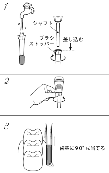 歯茎マッサージの方法　イメージ