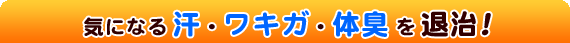 �C�ɂȂ銾�A���L�K�A�̏L��ގ��I