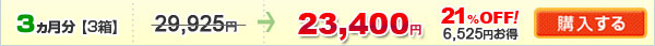 �o�C�^���r�[100(3��)