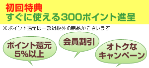 ������T�������Ɏg����300�|�C���g�i��I�@���̑����T�F�|�C���g�Ҍ��E��������E�I�g�N�ȃL�����y�[���ȂǁB