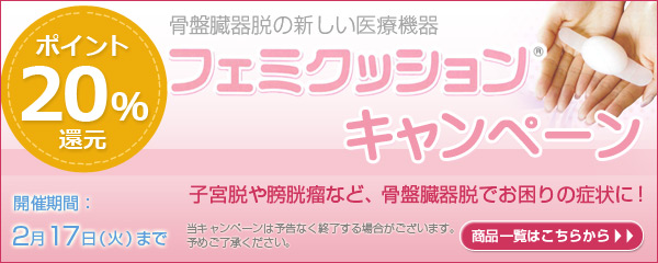 �t�F�~�N�b�V�����L�����y�[��