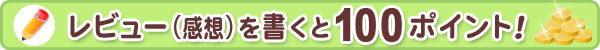 ���r���[(���z)��������100�|�C���g�I