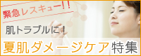 �Ĕ��_���[�W�P�A���W