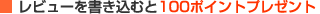 ���r���[���������ނ�100�|�C���g�v���[���g