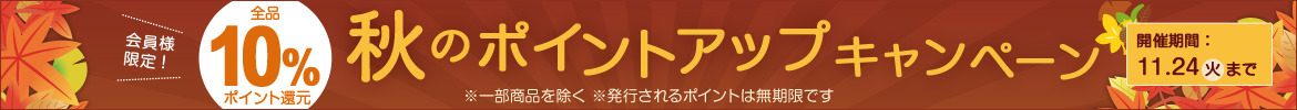 �H��10���|�C���g�Ҍ�