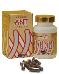 ANT(エイエヌティー)｜壮快ネット